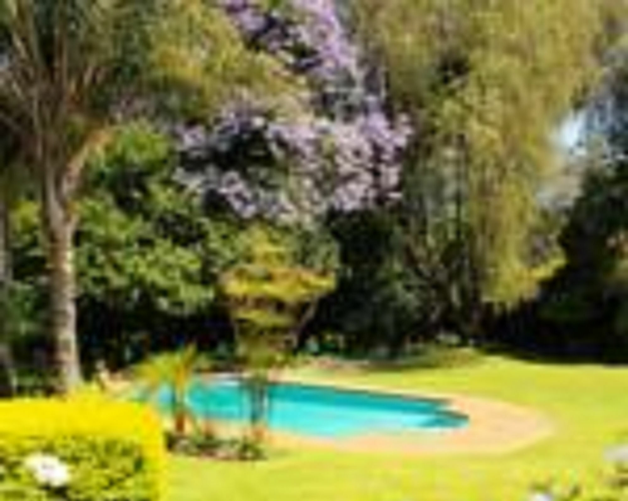 Dublin Guest House سابي المظهر الخارجي الصورة